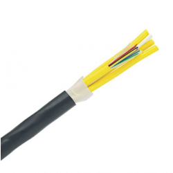 Panduit Indoor/Outdoor OM3 12core LSZH Fiber Optics Cable 1m